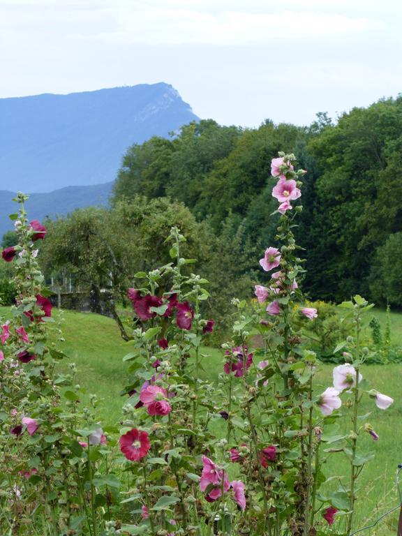 Hotel La Ferme de Mon Père Saint-Girod Esterno foto